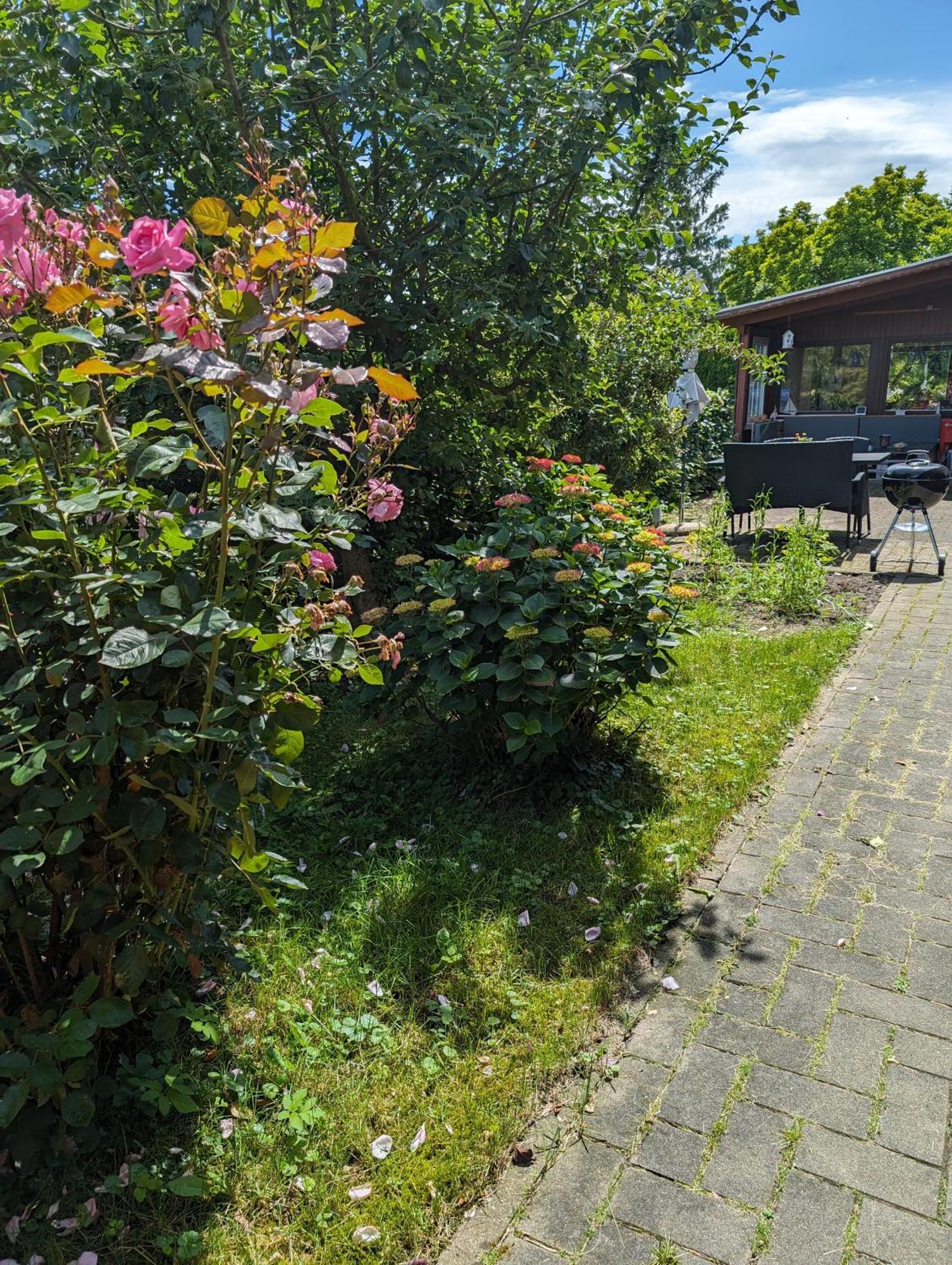 Ferienwohnung Bullersberg Balge Exteriör bild